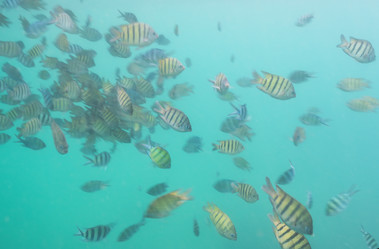 Similar image 21917313