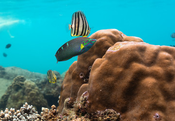 Similar image 21917315