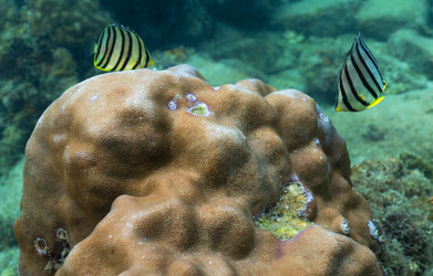 Similar image 21917317