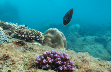 Similar image 21917321