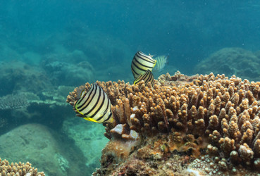 Similar image 21917323