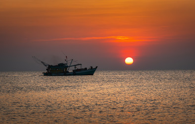 Similar image 21917333