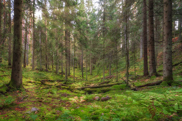 Similar image 21917500