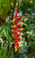 Similar image 21917503