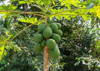 Similar image 21917504