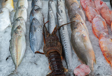 Similar image 21917349