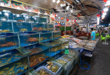 Similar image 21917350