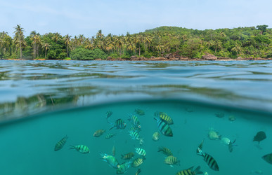 Similar image 21917362