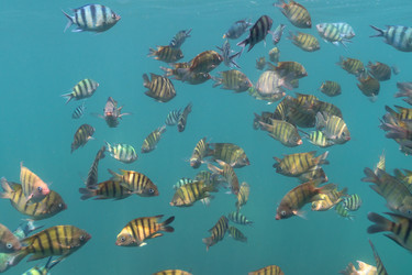 Similar image 21917363