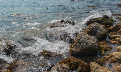 Similar image 21917364