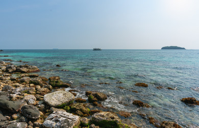 Similar image 21917366