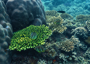 Similar image 21917367