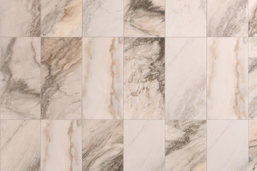 Similar image 21917848