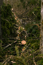 Similar image 21917849