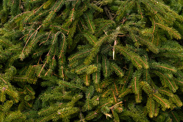 Similar image 21917851