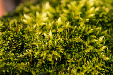 Similar image 21917854