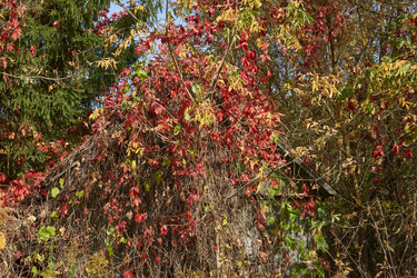 Similar image 21917170