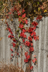 Similar image 21918273