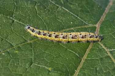 Similar image 21918274