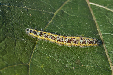 Similar image 21917172