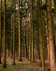 Similar image 21918081