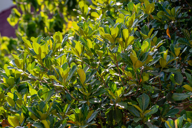 Similar image 21918088