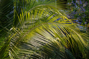 Similar image 21918090