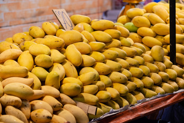 Similar image 21918096