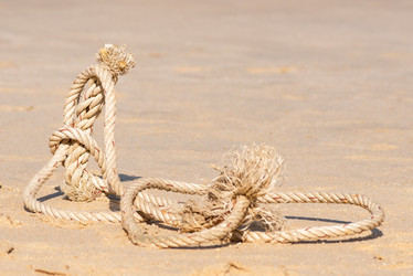 Similar image 21918101