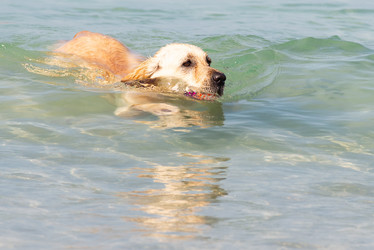 Similar image 21918103