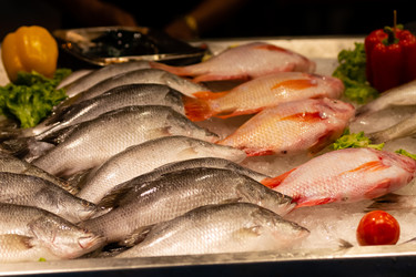 Similar image 21918104