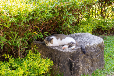 Similar image 21918114