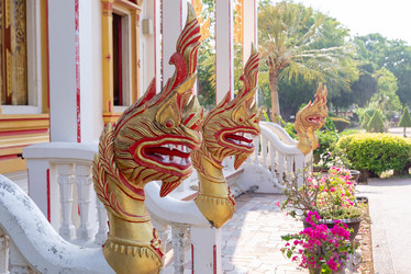 Similar image 21918116