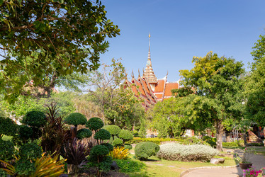 Similar image 21918118