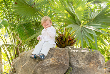 Similar image 21918121