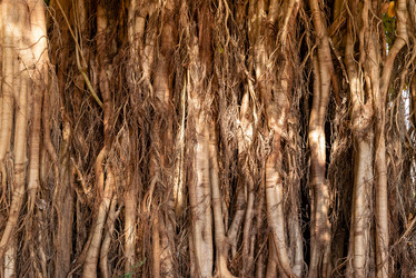 Similar image 21918128