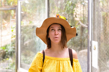 Similar image 21918133