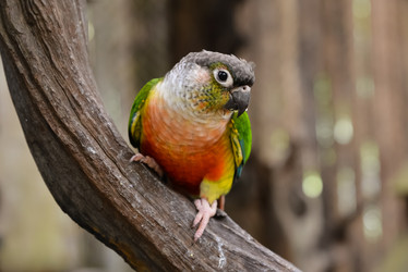 Similar image 21918134