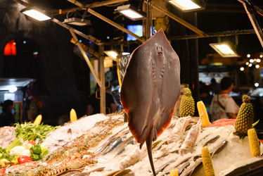 Similar image 21918142