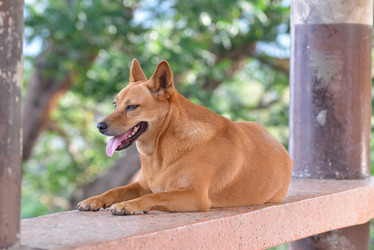 Similar image 21918150