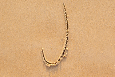 Similar image 21917908