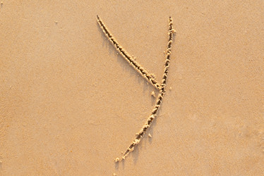 Similar image 21917924