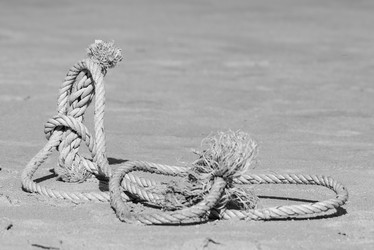 Similar image 21917932