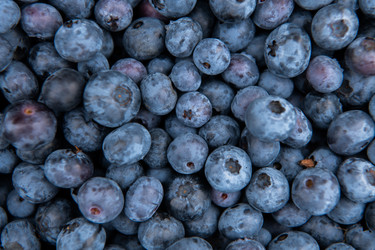 Similar image 21950283