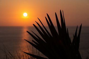 Similar image 21917960