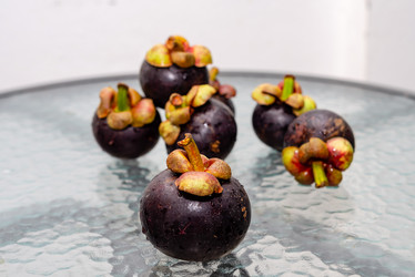 Similar image 21918183