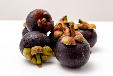 Similar image 21918184