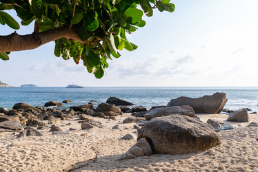 Similar image 21918187