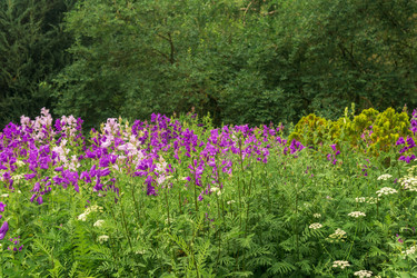 Similar image 21918276