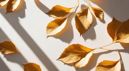 Similar image 21918441